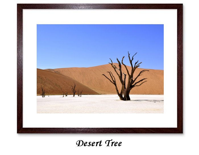 Desert Tree